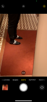 IMG_6209.PNG