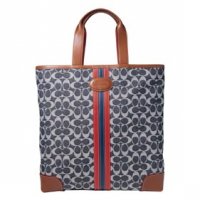 6868_SIG DENIM STRIPE TOTE-d1.jpg