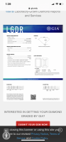 75410105-D1F2-4A5D-83A1-DDBBE110D61D.png