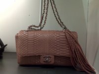 chanel exotic bag.jpg