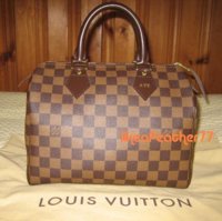 Damier Speedy 1.JPG