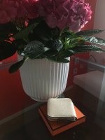 16D81FEF-9902-407F-878B-CEC3600F416B.jpeg