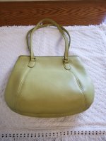 Green Coach Back.jpg