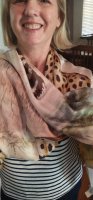 IMG_20210226_160751.jpg