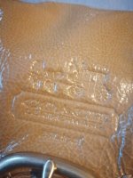 IMG_20210226_120111.jpg