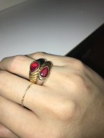 IMG_0822.jpeg