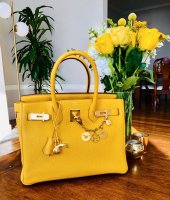 H_B30_Jauneambre_GHW_yellow_flowers.jpg