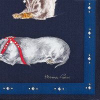 les-bassets-studded-scarf-70--943588S 01-detail-3-0-0-720-720_b.jpg