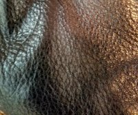20210307_123653.jpg