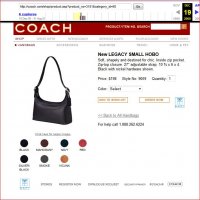 9059 Legacy Small Hobo.JPG