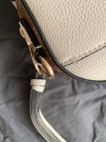 side clip of dumbo bag.jpeg
