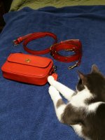 IMG_20210309_185029.jpg