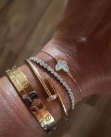 cartier vca.jpg