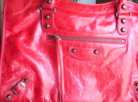 Rouge Vif in front of window.jpg