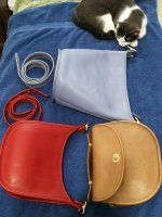 IMG_20210310_164235.jpg