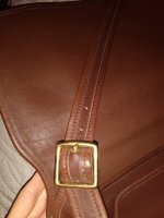 IMG_20210312_012901119.jpg