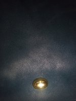 IMG_20210312_130941666.jpg