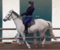 Béa_soie_cheval_13.03.2021.png