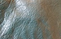 20210315_110736.jpg