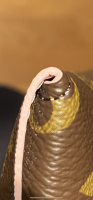 4F5C6DF3-87B2-4C40-B067-CAB03289AF05.png