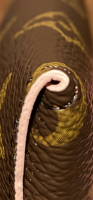 330A10AD-C33C-43F9-8CE2-1E7EEBCE28CD.png