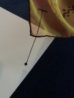B5E70246-AD08-408B-95E3-685FC1DA4EC2.jpeg