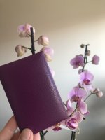 ❌ Why I don't recommend the Hermes Calvi cardholder ❌, HONEST REVIEW