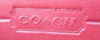 C5E- serial w Italy creed+sloppy logo-b.jpg