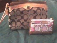 WRISTLET.jpg