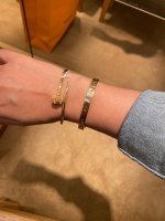 cartier 3.jpg