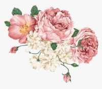 flower.jpeg