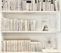 EEE03C16-372A-48E6-B425-A99D6C4DB112.jpeg