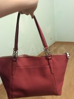 coach03.jpg