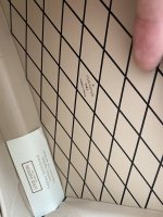 A0724A5A-9AAC-4B5F-ABF4-0D96BD86FD63.jpeg