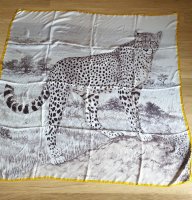 Acinonyx Jubatus 140 H653692S03 (SS 2021) .jpg