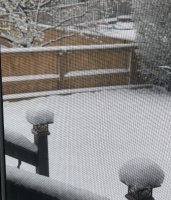 394B2C77-0999-4C6F-B178-1A3E28A4D836.jpeg