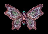 Fluttery-In-Love-with-Spring-by-Wallace-Chan-1-1024x723.jpg