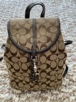 normjacq_0 fake coach bag_auth creed different bag K1173-F18862 front.jpeg