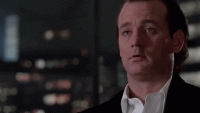 giphy (4).gif