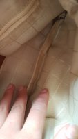 b7ca7aa3-dc51-4471-89a7-ec12dbc0c208.jpg