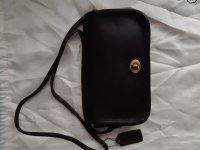 Dinky dark brown lV.jpg