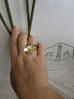 PXL_20210512_075659541.jpg
