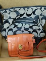 Coach Bag #2.jpg