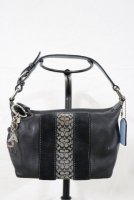 Coach Bag #4.jpg