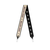 louis-vuitton-bandoulière--J02506_PM2_Front view.png