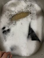 92DE40D5-6988-4620-B32D-73D730EDD105.jpeg