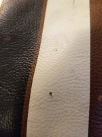 Bag2.jpg