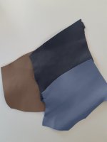 Lamb colors for Christine Liu.jpg