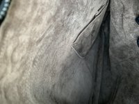 C06C8568-F732-4EC7-84C4-3AD7CCCDCC1E.jpeg