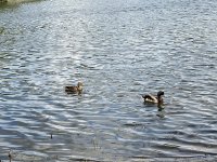 92622866-E7B7-4EBE-82E8-9C5F560C1471.jpeg